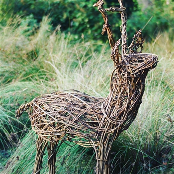 Willow Deer