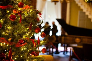 Decorated Christmas Tree in a Room