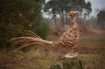 Willow Weaving Pheasant at Burton Constable Hall