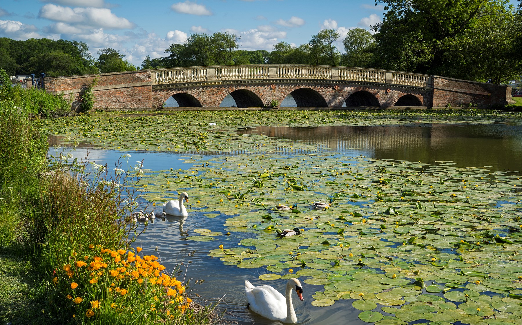 Lakeside Walk, Burton Constable, Hull, East Yorkshire